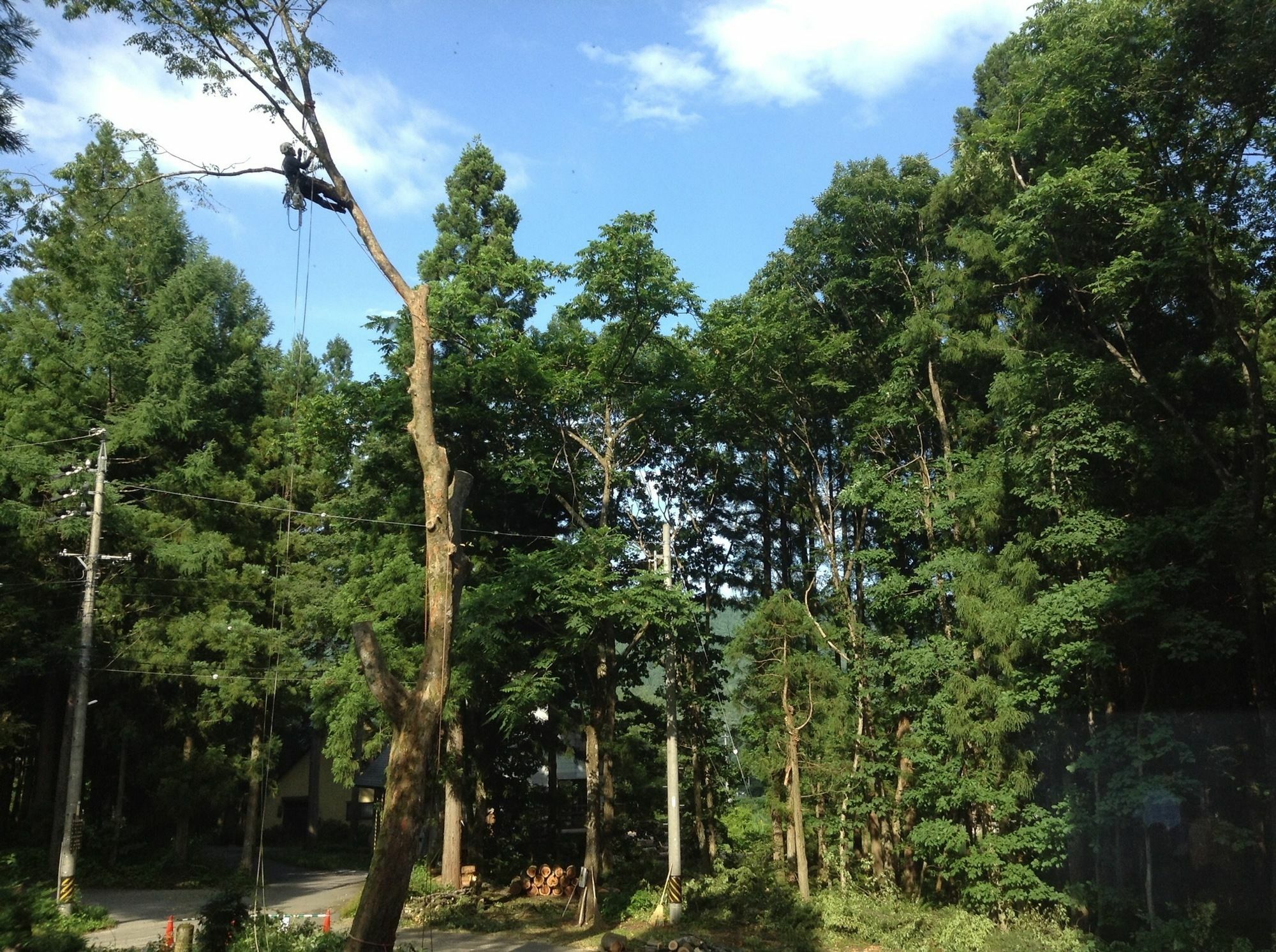 Inn Wataboshi Hakuba Dış mekan fotoğraf